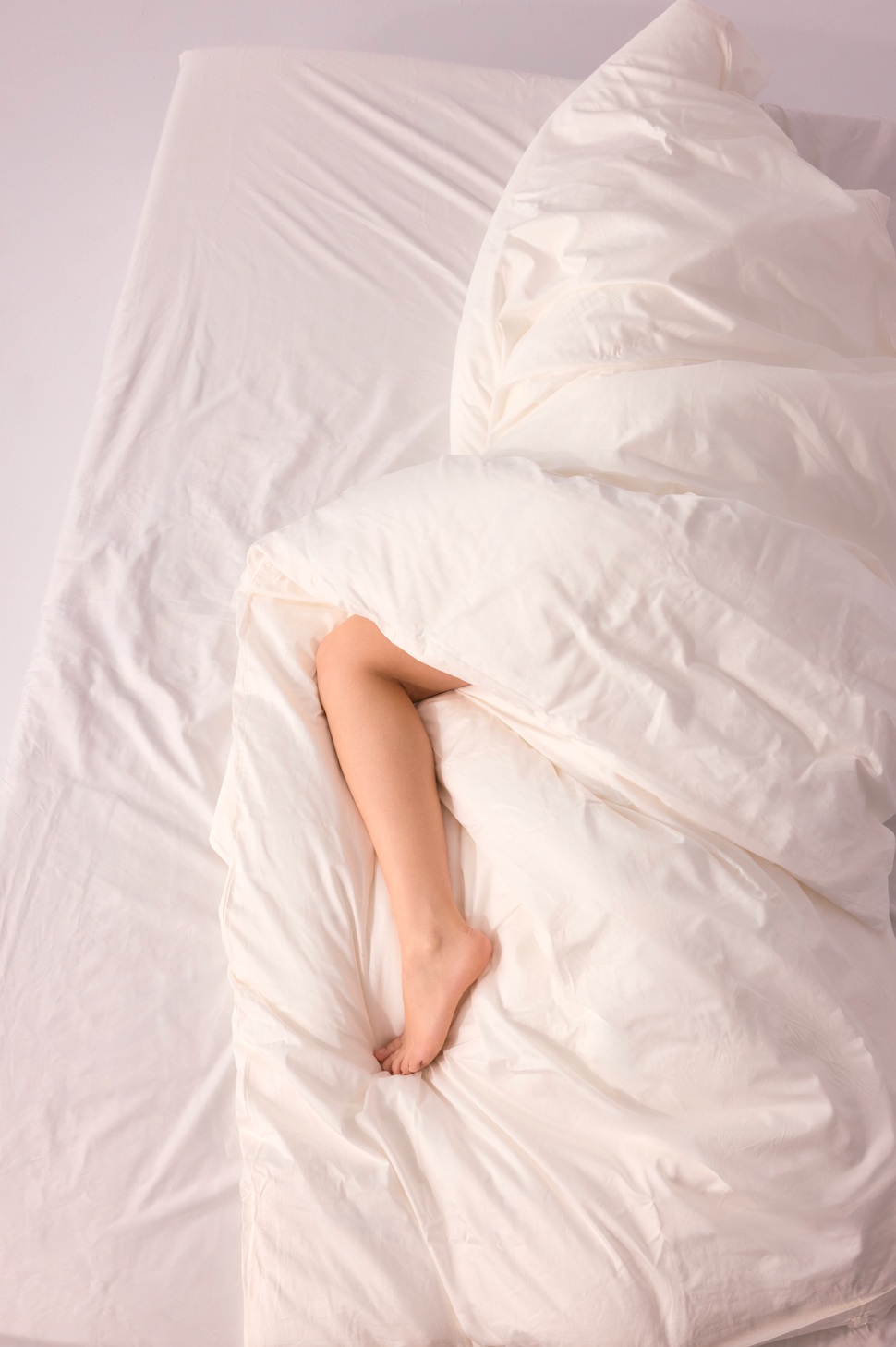 Organic Cotton Basic Bundle | Save 10%
